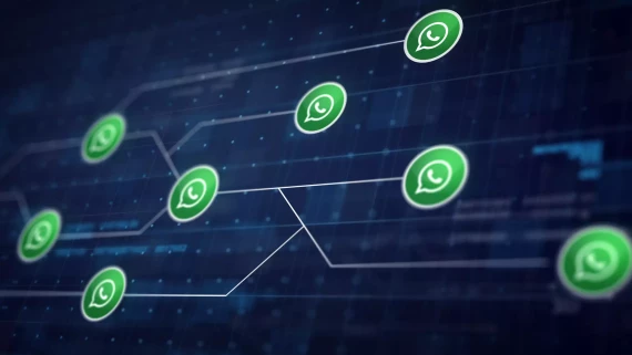 Whatsapp Targeted